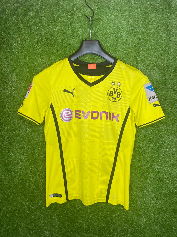 Borussia Dortmund 13/14